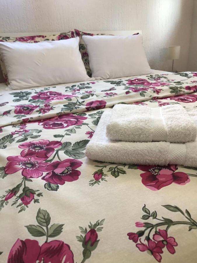 Apartman Studio Milojkovic Golubac Eksteriør billede