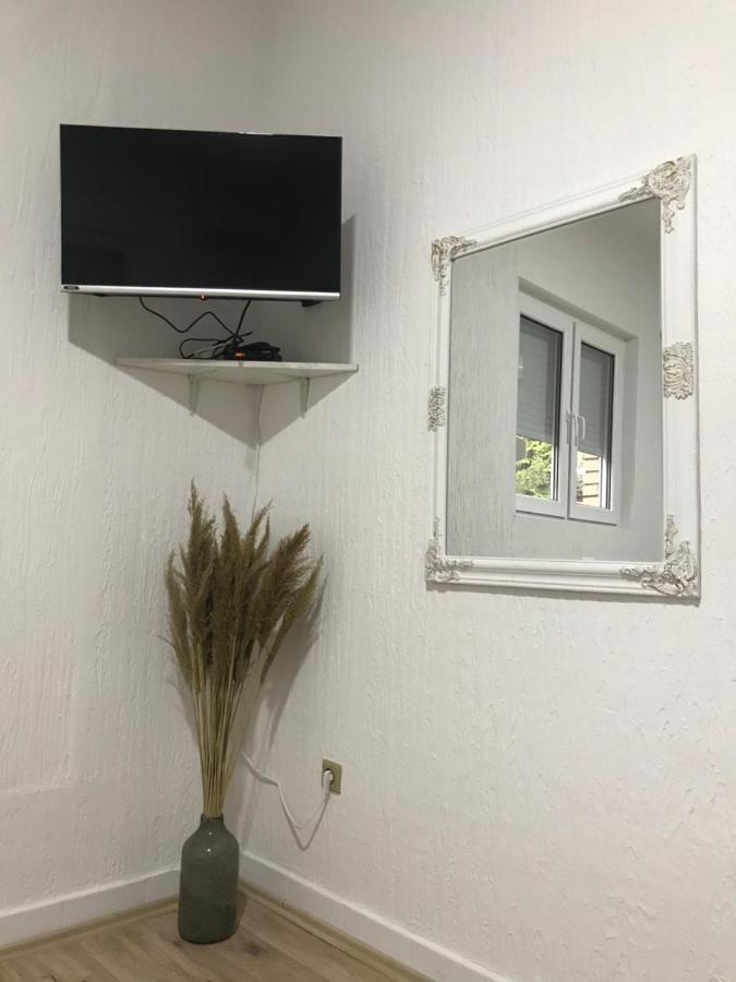 Apartman Studio Milojkovic Golubac Eksteriør billede