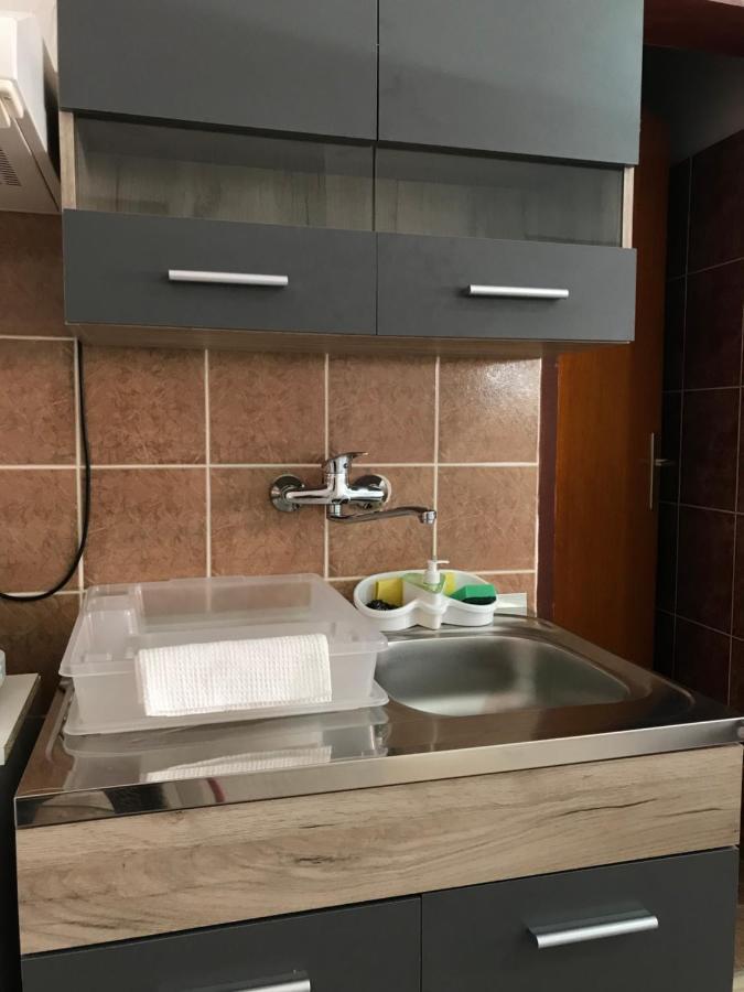 Apartman Studio Milojkovic Golubac Eksteriør billede