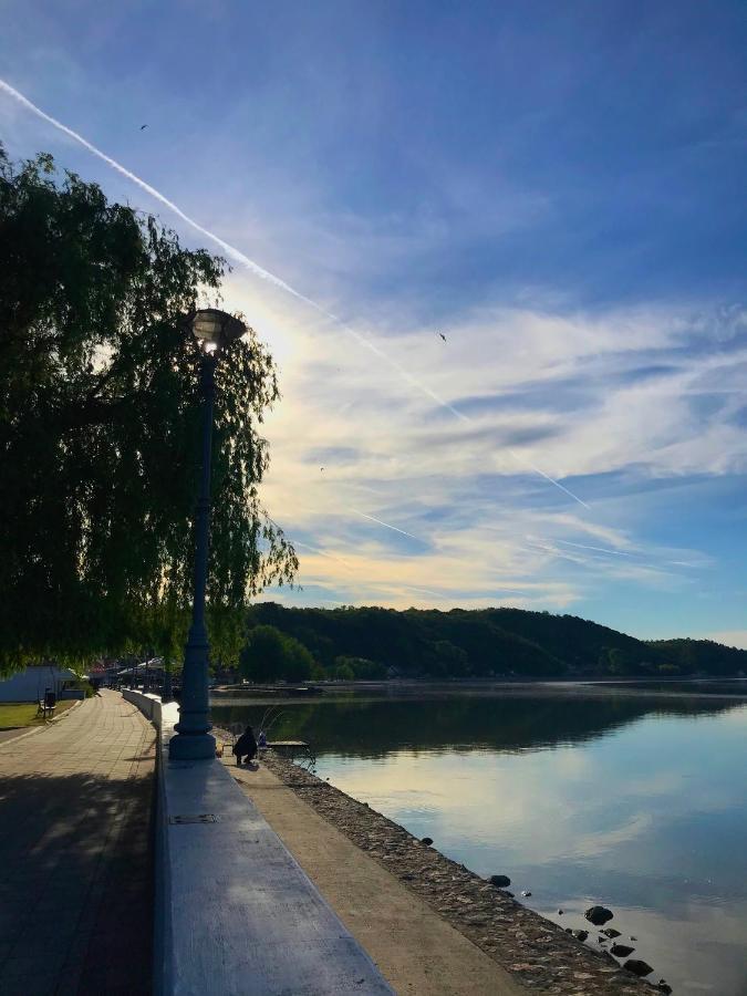 Apartman Studio Milojkovic Golubac Eksteriør billede