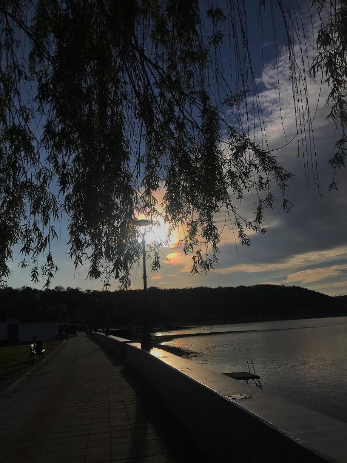Apartman Studio Milojkovic Golubac Eksteriør billede