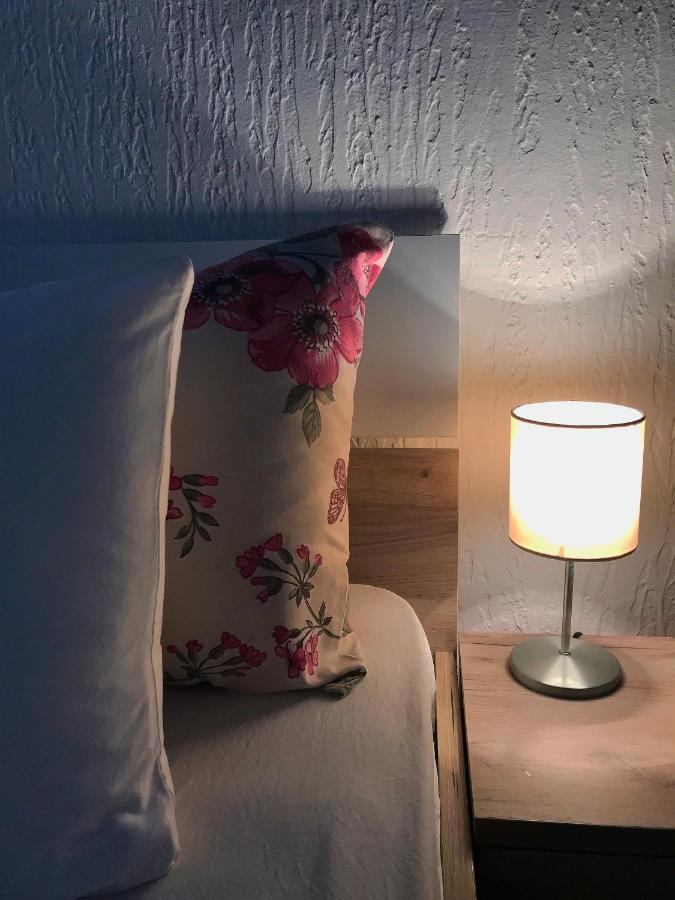 Apartman Studio Milojkovic Golubac Eksteriør billede