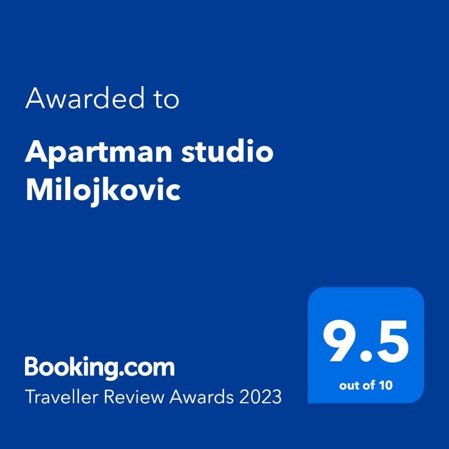 Apartman Studio Milojkovic Golubac Eksteriør billede